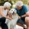 a man and woman petting a dog